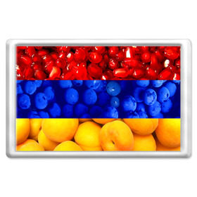 Магнит 45*70 с принтом Флаг Армении в Петрозаводске, Пластик | Размер: 78*52 мм; Размер печати: 70*45 | Тематика изображения на принте: армения | гранат | персик | слива | страны | флаг армении | фрукты