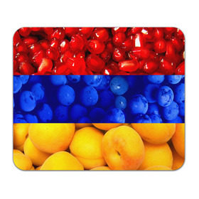Коврик прямоугольный с принтом Флаг Армении в Петрозаводске, натуральный каучук | размер 230 х 185 мм; запечатка лицевой стороны | армения | гранат | персик | слива | страны | флаг армении | фрукты
