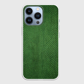 Чехол для iPhone 13 Pro с принтом Snake в Петрозаводске,  |  | Тематика изображения на принте: зеленый | змея | кожа | текстура