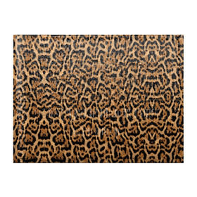 Обложка для студенческого билета с принтом Jaguar в Петрозаводске, натуральная кожа | Размер: 11*8 см; Печать на всей внешней стороне | Тематика изображения на принте: оцелот | пума | текстура | ягуар