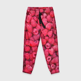 Детские брюки 3D с принтом Малинки в Петрозаводске, 100% полиэстер | манжеты по низу, эластичный пояс регулируется шнурком, по бокам два кармана без застежек, внутренняя часть кармана из мелкой сетки | Тематика изображения на принте: raspberry | летняя | ягодн