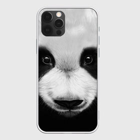 Чехол для iPhone 12 Pro Max с принтом Морда панды в Петрозаводске, Силикон |  | 