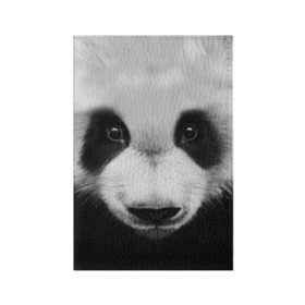 Обложка для паспорта матовая кожа с принтом Морда панды в Петрозаводске, натуральная матовая кожа | размер 19,3 х 13,7 см; прозрачные пластиковые крепления | Тематика изображения на принте: 