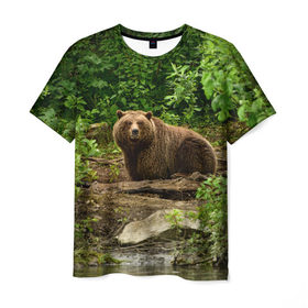 Мужская футболка 3D с принтом Бурый медведь в Петрозаводске, 100% полиэфир | прямой крой, круглый вырез горловины, длина до линии бедер | 