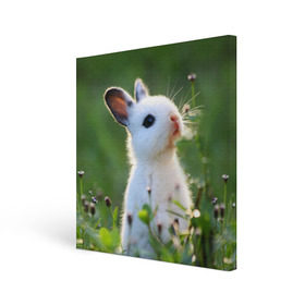 Холст квадратный с принтом Кролик в Петрозаводске, 100% ПВХ |  | animal | baby | cute | flowers | fluffy | hare | lawn | little | meadow | rabbit | животное | заяц | кролик | луг | лужайка | маленький | малыш | милый | пушистый | цветы