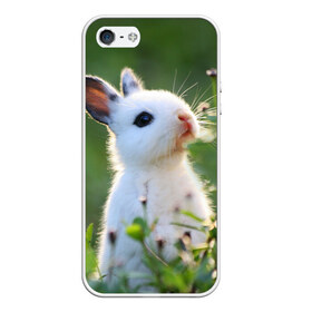 Чехол для iPhone 5/5S матовый с принтом Кролик в Петрозаводске, Силикон | Область печати: задняя сторона чехла, без боковых панелей | animal | baby | cute | flowers | fluffy | hare | lawn | little | meadow | rabbit | животное | заяц | кролик | луг | лужайка | маленький | малыш | милый | пушистый | цветы