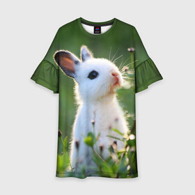 Детское платье 3D с принтом Кролик в Петрозаводске, 100% полиэстер | прямой силуэт, чуть расширенный к низу. Круглая горловина, на рукавах — воланы | Тематика изображения на принте: animal | baby | cute | flowers | fluffy | hare | lawn | little | meadow | rabbit | животное | заяц | кролик | луг | лужайка | маленький | малыш | милый | пушистый | цветы
