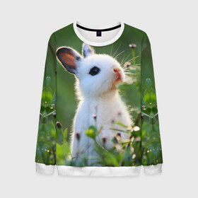 Мужской свитшот 3D с принтом Кролик в Петрозаводске, 100% полиэстер с мягким внутренним слоем | круглый вырез горловины, мягкая резинка на манжетах и поясе, свободная посадка по фигуре | animal | baby | cute | flowers | fluffy | hare | lawn | little | meadow | rabbit | животное | заяц | кролик | луг | лужайка | маленький | малыш | милый | пушистый | цветы