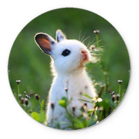 Коврик круглый с принтом Кролик в Петрозаводске, резина и полиэстер | круглая форма, изображение наносится на всю лицевую часть | Тематика изображения на принте: animal | baby | cute | flowers | fluffy | hare | lawn | little | meadow | rabbit | животное | заяц | кролик | луг | лужайка | маленький | малыш | милый | пушистый | цветы
