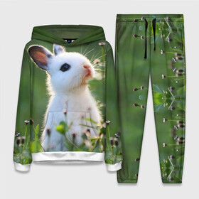 Женский костюм 3D (с толстовкой) с принтом Кролик в Петрозаводске,  |  | animal | baby | cute | flowers | fluffy | hare | lawn | little | meadow | rabbit | животное | заяц | кролик | луг | лужайка | маленький | малыш | милый | пушистый | цветы