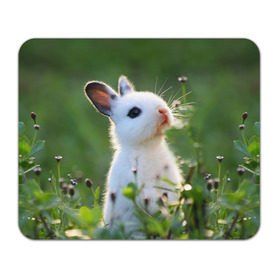 Коврик прямоугольный с принтом Кролик в Петрозаводске, натуральный каучук | размер 230 х 185 мм; запечатка лицевой стороны | Тематика изображения на принте: animal | baby | cute | flowers | fluffy | hare | lawn | little | meadow | rabbit | животное | заяц | кролик | луг | лужайка | маленький | малыш | милый | пушистый | цветы