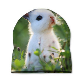Шапка 3D с принтом Кролик в Петрозаводске, 100% полиэстер | универсальный размер, печать по всей поверхности изделия | animal | baby | cute | flowers | fluffy | hare | lawn | little | meadow | rabbit | животное | заяц | кролик | луг | лужайка | маленький | малыш | милый | пушистый | цветы