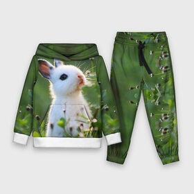 Детский костюм 3D (с толстовкой) с принтом Кролик в Петрозаводске,  |  | animal | baby | cute | flowers | fluffy | hare | lawn | little | meadow | rabbit | животное | заяц | кролик | луг | лужайка | маленький | малыш | милый | пушистый | цветы