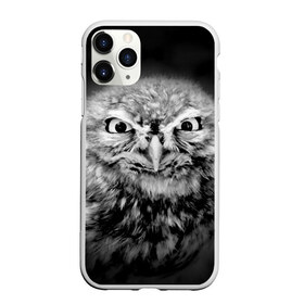 Чехол для iPhone 11 Pro матовый с принтом Сова в Петрозаводске, Силикон |  | beak | bird | eyes | fear | hypnosis | look | night | owl | predator | взгляд | гипноз | глаза | клюв | ночь | птица | сова | хищник
