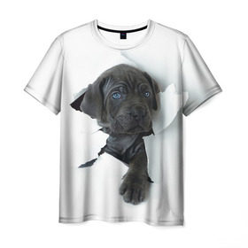 Мужская футболка 3D с принтом щенок Кане Корсо в Петрозаводске, 100% полиэфир | прямой крой, круглый вырез горловины, длина до линии бедер | animal | black | break | breed | dog | kid | paper | puppy | tear | torn | дог | животное | малыш | порода | прорыв | разрыв | рваная | собака | черный | щенок