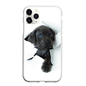Чехол для iPhone 11 Pro матовый с принтом щенок Кане Корсо в Петрозаводске, Силикон |  | animal | black | break | breed | dog | kid | paper | puppy | tear | torn | дог | животное | малыш | порода | прорыв | разрыв | рваная | собака | черный | щенок