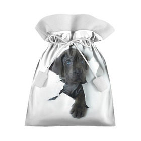 Подарочный 3D мешок с принтом щенок Кане Корсо в Петрозаводске, 100% полиэстер | Размер: 29*39 см | animal | black | break | breed | dog | kid | paper | puppy | tear | torn | дог | животное | малыш | порода | прорыв | разрыв | рваная | собака | черный | щенок
