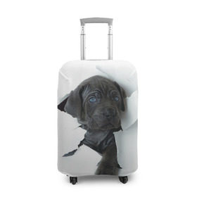 Чехол для чемодана 3D с принтом щенок Кане Корсо в Петрозаводске, 86% полиэфир, 14% спандекс | двустороннее нанесение принта, прорези для ручек и колес | animal | black | break | breed | dog | kid | paper | puppy | tear | torn | дог | животное | малыш | порода | прорыв | разрыв | рваная | собака | черный | щенок
