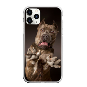 Чехол для iPhone 11 Pro матовый с принтом Кане корсо в Петрозаводске, Силикон |  | animal | breed | brown | dog | fear | jump | legs | throw | бросок | дог | животное | испуг | коричневый | лапы | порода | прыжок | собака