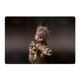 Магнитный плакат 3Х2 с принтом Кане корсо в Петрозаводске, Полимерный материал с магнитным слоем | 6 деталей размером 9*9 см | animal | breed | brown | dog | fear | jump | legs | throw | бросок | дог | животное | испуг | коричневый | лапы | порода | прыжок | собака