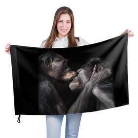 Флаг 3D с принтом Шимпанзе в Петрозаводске, 100% полиэстер | плотность ткани — 95 г/м2, размер — 67 х 109 см. Принт наносится с одной стороны | chimps | family | feelings | kiss | monkeys | primates | любовь | обезьяны | поцелуй | приматы | семья | чувства | шимпанзе
