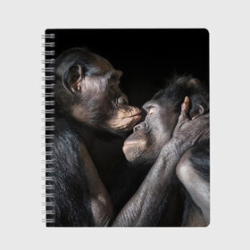 Тетрадь с принтом Шимпанзе в Петрозаводске, 100% бумага | 48 листов, плотность листов — 60 г/м2, плотность картонной обложки — 250 г/м2. Листы скреплены сбоку удобной пружинной спиралью. Уголки страниц и обложки скругленные. Цвет линий — светло-серый
 | chimps | family | feelings | kiss | monkeys | primates | любовь | обезьяны | поцелуй | приматы | семья | чувства | шимпанзе