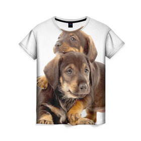 Женская футболка 3D с принтом Таксы в Петрозаводске, 100% полиэфир ( синтетическое хлопкоподобное полотно) | прямой крой, круглый вырез горловины, длина до линии бедер | brothers | dachshunds | kids | pets | puppies | small dogs | братья | животные | маленькие | малыши | собаки | таксы | щенки