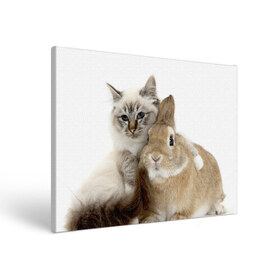 Холст прямоугольный с принтом Кот и кролик в Петрозаводске, 100% ПВХ |  | cat | cute | fluffy | friends | friendship | hug | kitty | rabbit | toddlers | дружба | друзья | кот | котенок | кролик | любовь | малыши | милые | обнимаются | пушистые