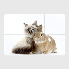 Магнитный плакат 3Х2 с принтом Кот и кролик в Петрозаводске, Полимерный материал с магнитным слоем | 6 деталей размером 9*9 см | cat | cute | fluffy | friends | friendship | hug | kitty | rabbit | toddlers | дружба | друзья | кот | котенок | кролик | любовь | малыши | милые | обнимаются | пушистые