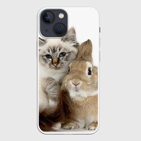 Чехол для iPhone 13 mini с принтом Кот и кролик в Петрозаводске,  |  | cat | cute | fluffy | friends | friendship | hug | kitty | rabbit | toddlers | дружба | друзья | кот | котенок | кролик | любовь | малыши | милые | обнимаются | пушистые