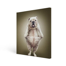 Холст квадратный с принтом Бульдог английский в Петрозаводске, 100% ПВХ |  | animals | breed | dog | english bulldog | funny | joke | pants | surrealism | бульдог английский | животное | порода | прикол | собака | сюрреализм | шутка