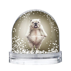 Снежный шар с принтом Бульдог английский в Петрозаводске, Пластик | Изображение внутри шара печатается на глянцевой фотобумаге с двух сторон | animals | breed | dog | english bulldog | funny | joke | pants | surrealism | бульдог английский | животное | порода | прикол | собака | сюрреализм | шутка