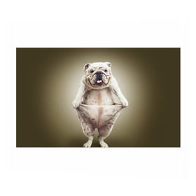 Бумага для упаковки 3D с принтом Бульдог английский в Петрозаводске, пластик и полированная сталь | круглая форма, металлическое крепление в виде кольца | Тематика изображения на принте: animals | breed | dog | english bulldog | funny | joke | pants | surrealism | бульдог английский | животное | порода | прикол | собака | сюрреализм | шутка