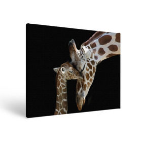 Холст прямоугольный с принтом Жирафы в Петрозаводске, 100% ПВХ |  | Тематика изображения на принте: africa | animals | baby | child | family | giraffes | head | mother | африка | головы | животные | жирафы | любовь | малыш | мама | ребенок | семья