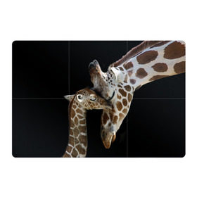 Магнитный плакат 3Х2 с принтом Жирафы в Петрозаводске, Полимерный материал с магнитным слоем | 6 деталей размером 9*9 см | Тематика изображения на принте: africa | animals | baby | child | family | giraffes | head | mother | африка | головы | животные | жирафы | любовь | малыш | мама | ребенок | семья