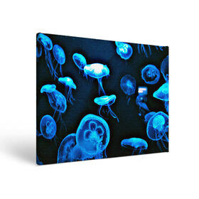 Холст прямоугольный с принтом Meduse в Петрозаводске, 100% ПВХ |  | Тематика изображения на принте: вода | медузы | море | морские | океан