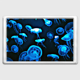 Магнит 45*70 с принтом Meduse в Петрозаводске, Пластик | Размер: 78*52 мм; Размер печати: 70*45 | Тематика изображения на принте: вода | медузы | море | морские | океан