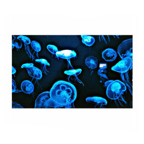 Бумага для упаковки 3D с принтом Meduse в Петрозаводске, пластик и полированная сталь | круглая форма, металлическое крепление в виде кольца | Тематика изображения на принте: вода | медузы | море | морские | океан