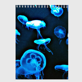 Скетчбук с принтом Meduse в Петрозаводске, 100% бумага
 | 48 листов, плотность листов — 100 г/м2, плотность картонной обложки — 250 г/м2. Листы скреплены сверху удобной пружинной спиралью | Тематика изображения на принте: вода | медузы | море | морские | океан