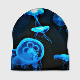 Шапка 3D с принтом Meduse в Петрозаводске, 100% полиэстер | универсальный размер, печать по всей поверхности изделия | вода | медузы | море | морские | океан