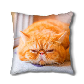 Подушка 3D с принтом Рыжий кот в Петрозаводске, наволочка – 100% полиэстер, наполнитель – холлофайбер (легкий наполнитель, не вызывает аллергию). | состоит из подушки и наволочки. Наволочка на молнии, легко снимается для стирки | Тематика изображения на принте: кот | кошка | милая | рыжий