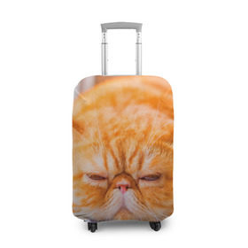 Чехол для чемодана 3D с принтом Рыжий кот в Петрозаводске, 86% полиэфир, 14% спандекс | двустороннее нанесение принта, прорези для ручек и колес | кот | кошка | милая | рыжий