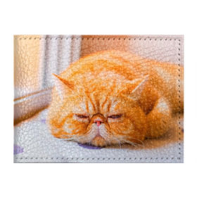 Обложка для студенческого билета с принтом Рыжий кот в Петрозаводске, натуральная кожа | Размер: 11*8 см; Печать на всей внешней стороне | Тематика изображения на принте: кот | кошка | милая | рыжий