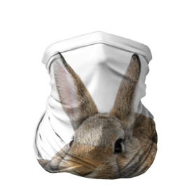 Бандана-труба 3D с принтом Кролики в Петрозаводске, 100% полиэстер, ткань с особыми свойствами — Activecool | плотность 150‒180 г/м2; хорошо тянется, но сохраняет форму | animals | bunnies | cute | eared | family | fluffy | kids | mom | rabbits | животные | зайцы | кролики | малыши | мама | милые | пушистые | семья | ушастые