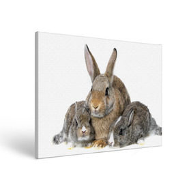 Холст прямоугольный с принтом Кролики в Петрозаводске, 100% ПВХ |  | Тематика изображения на принте: animals | bunnies | cute | eared | family | fluffy | kids | mom | rabbits | животные | зайцы | кролики | малыши | мама | милые | пушистые | семья | ушастые
