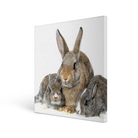 Холст квадратный с принтом Кролики в Петрозаводске, 100% ПВХ |  | animals | bunnies | cute | eared | family | fluffy | kids | mom | rabbits | животные | зайцы | кролики | малыши | мама | милые | пушистые | семья | ушастые