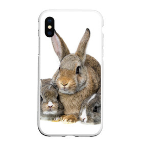 Чехол для iPhone XS Max матовый с принтом Кролики в Петрозаводске, Силикон | Область печати: задняя сторона чехла, без боковых панелей | animals | bunnies | cute | eared | family | fluffy | kids | mom | rabbits | животные | зайцы | кролики | малыши | мама | милые | пушистые | семья | ушастые