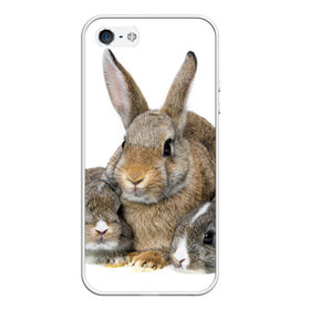 Чехол для iPhone 5/5S матовый с принтом Кролики в Петрозаводске, Силикон | Область печати: задняя сторона чехла, без боковых панелей | animals | bunnies | cute | eared | family | fluffy | kids | mom | rabbits | животные | зайцы | кролики | малыши | мама | милые | пушистые | семья | ушастые