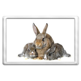 Магнит 45*70 с принтом Кролики в Петрозаводске, Пластик | Размер: 78*52 мм; Размер печати: 70*45 | animals | bunnies | cute | eared | family | fluffy | kids | mom | rabbits | животные | зайцы | кролики | малыши | мама | милые | пушистые | семья | ушастые