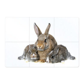 Магнитный плакат 3Х2 с принтом Кролики в Петрозаводске, Полимерный материал с магнитным слоем | 6 деталей размером 9*9 см | animals | bunnies | cute | eared | family | fluffy | kids | mom | rabbits | животные | зайцы | кролики | малыши | мама | милые | пушистые | семья | ушастые